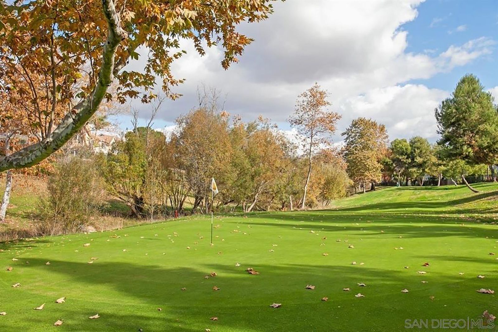 Path of 5251 golf-hole.jpg