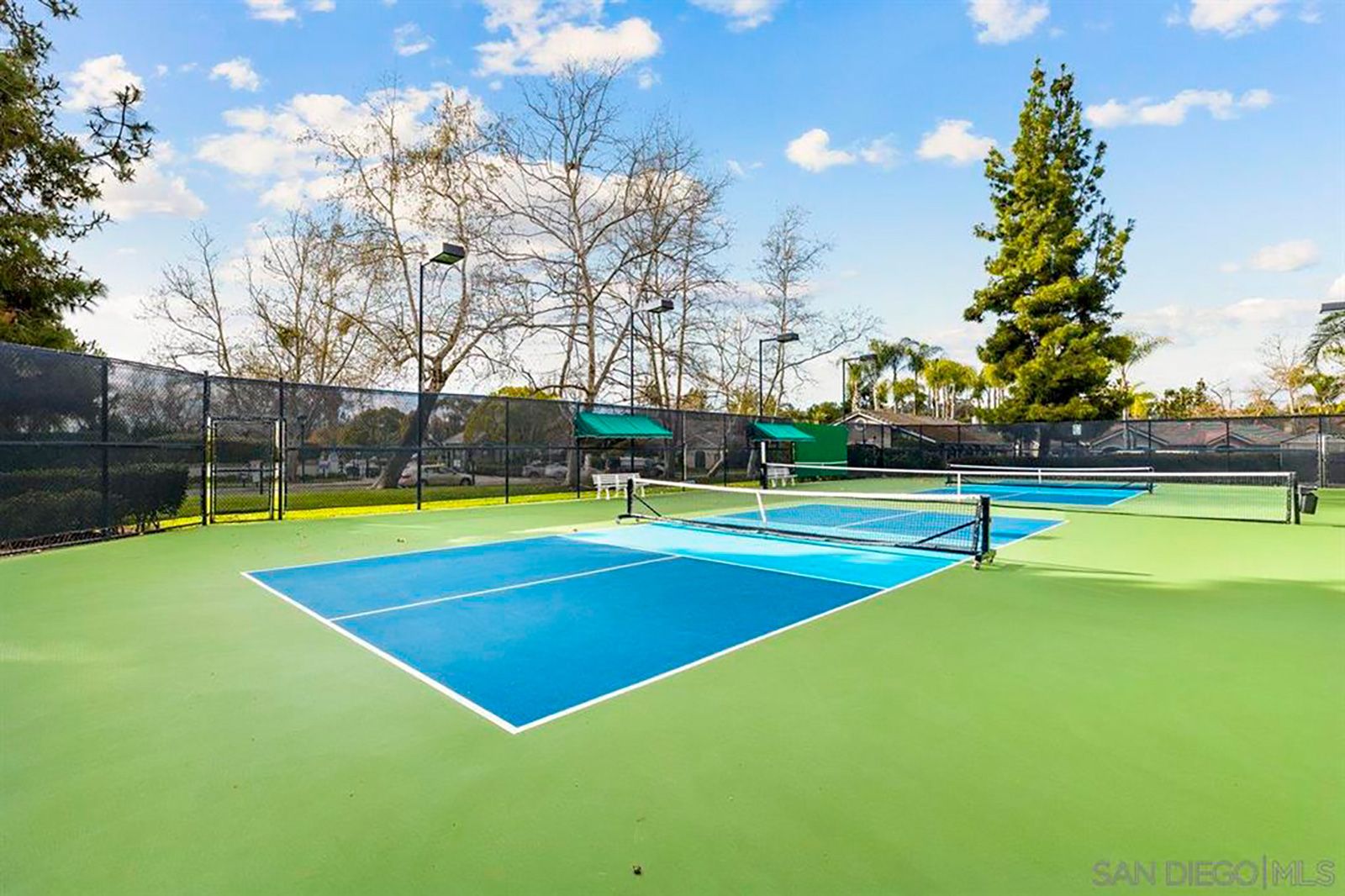 Path of 5251 pickleball.jpg